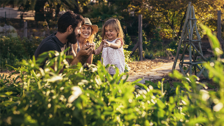 English Summer Family Camp, un verano apasionante en familia - Familias