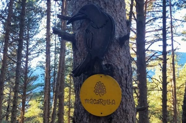 Senderismo mágico en Andorra