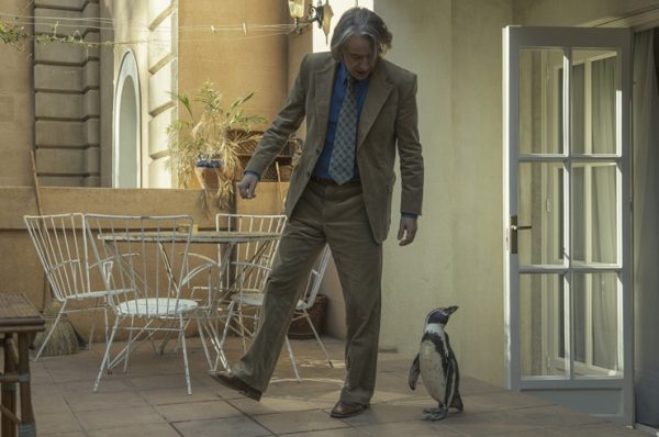 “Lo que aprendí de mi pingüino”